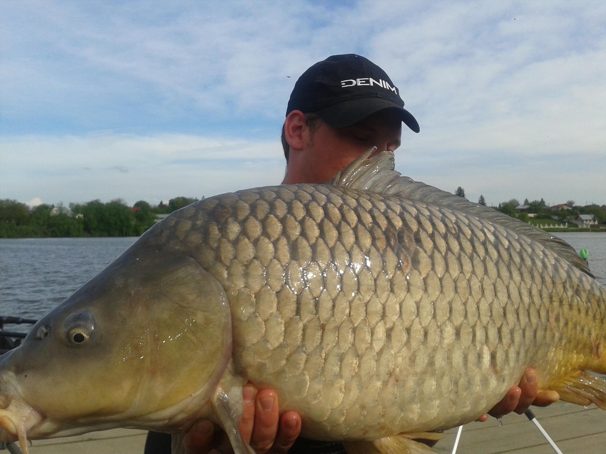 cateva capturi - 201405031746381.jpg